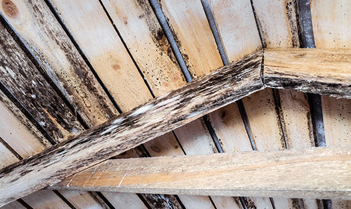 99 OUT OF 100 HOMES IN AUSTRALIA DO NOT HAVE EFFECTIVE ROOFSPACE VENTILATION