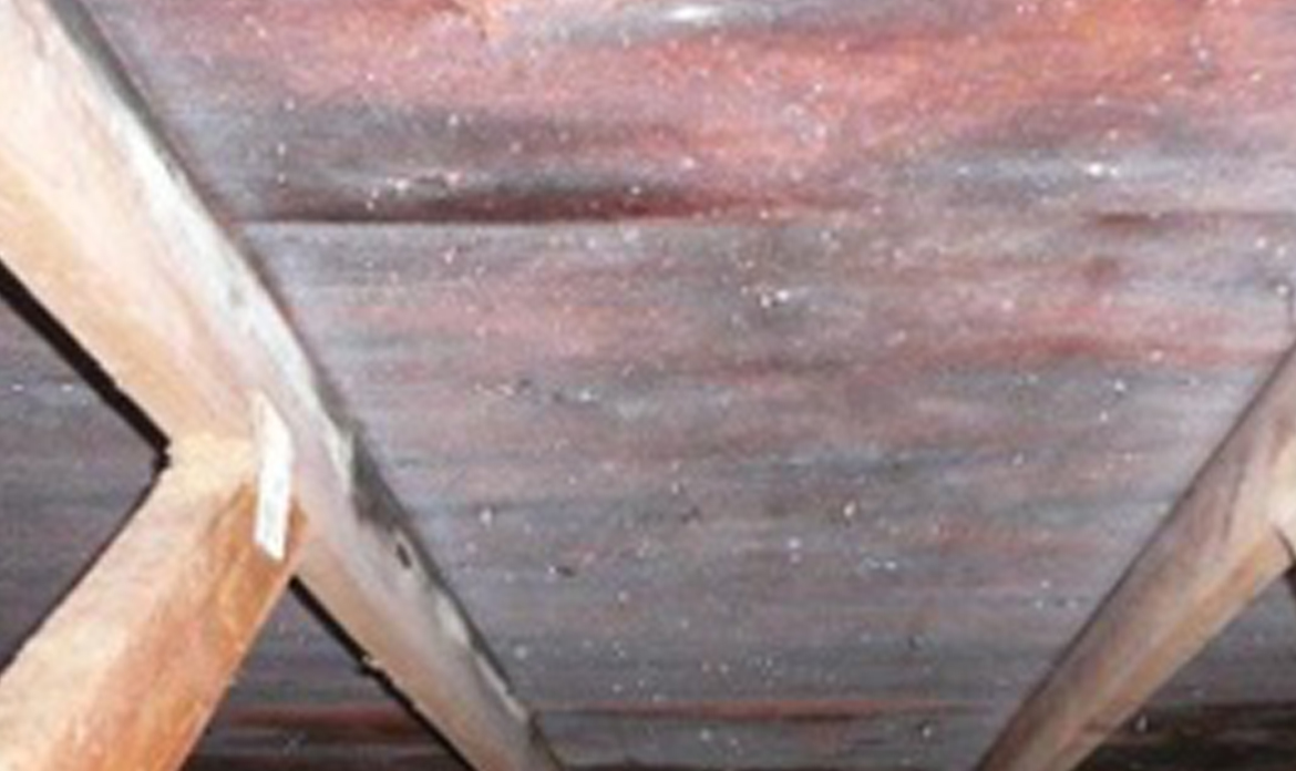 ANNEX TO SARKING ROOF TILES