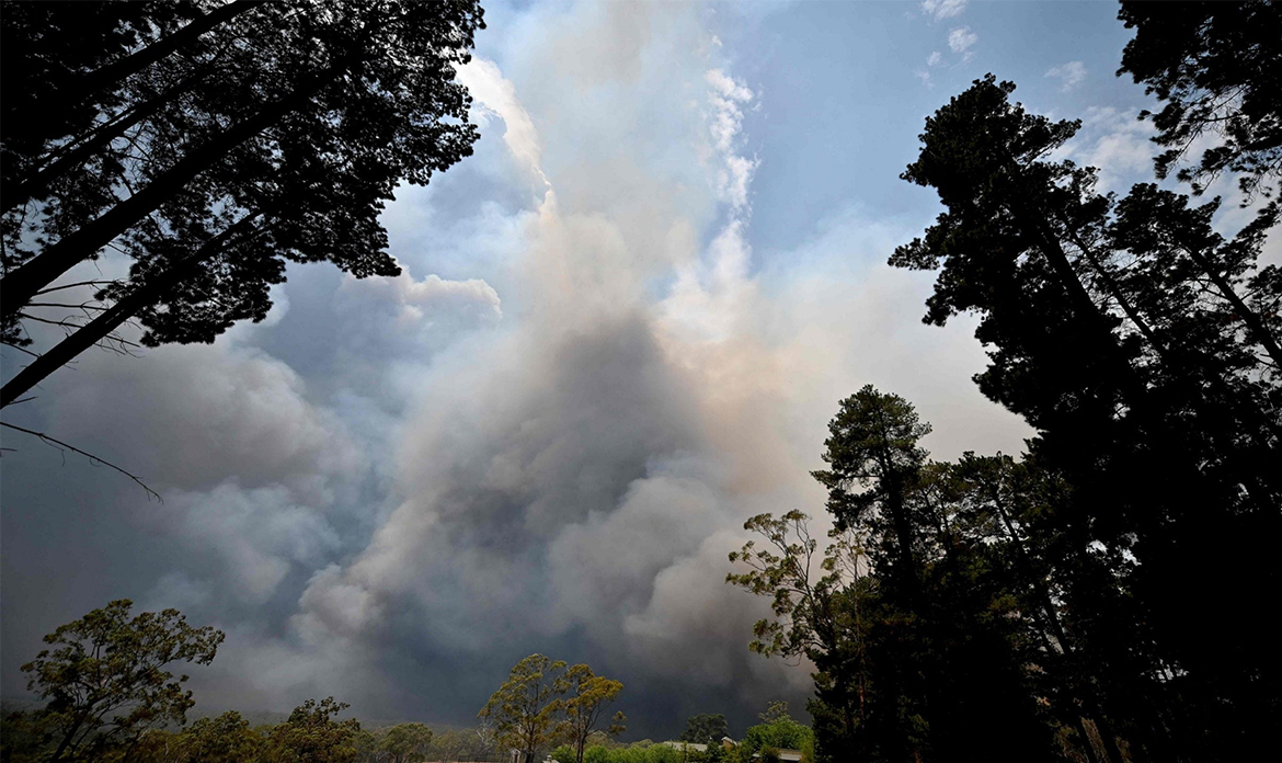 ARE BUSHFIRES INEVITABLE