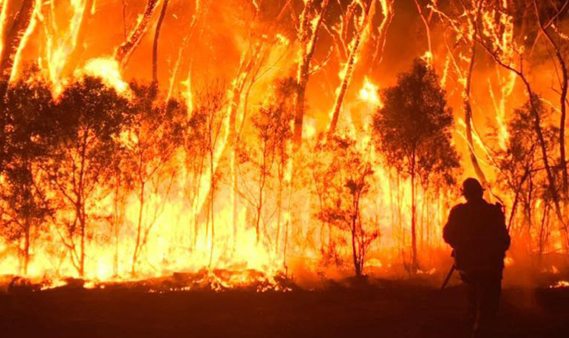 UNDERSTANDING BAL RATINGS