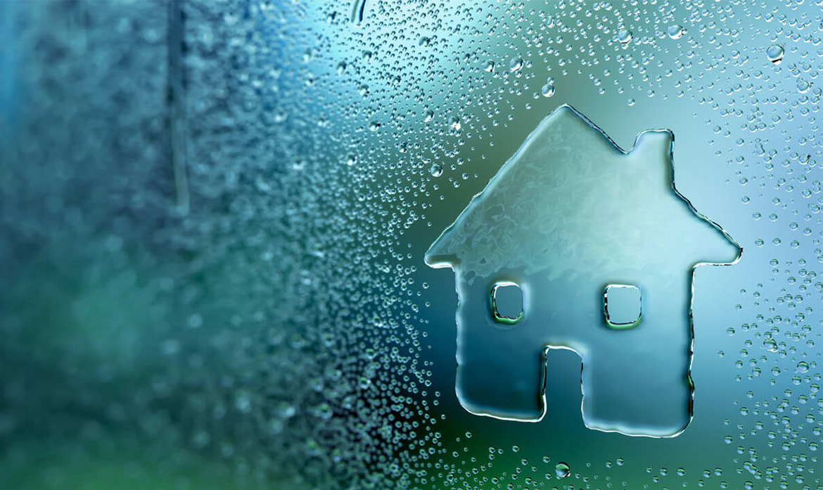 CONDENSATION BLOGS YOU SHOULD READ