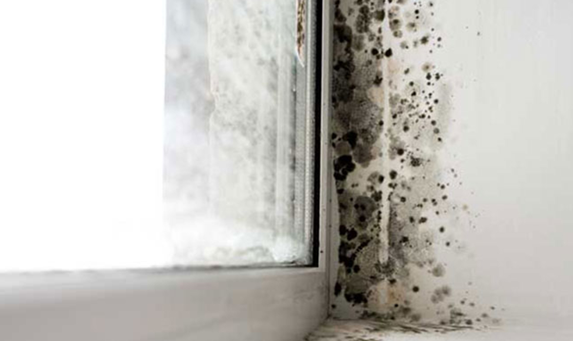 REMOVING CONDENSATION FROM THE HOME