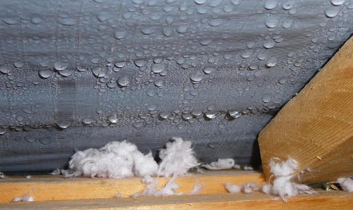 ROOF CONDENSATION PROBLEMS