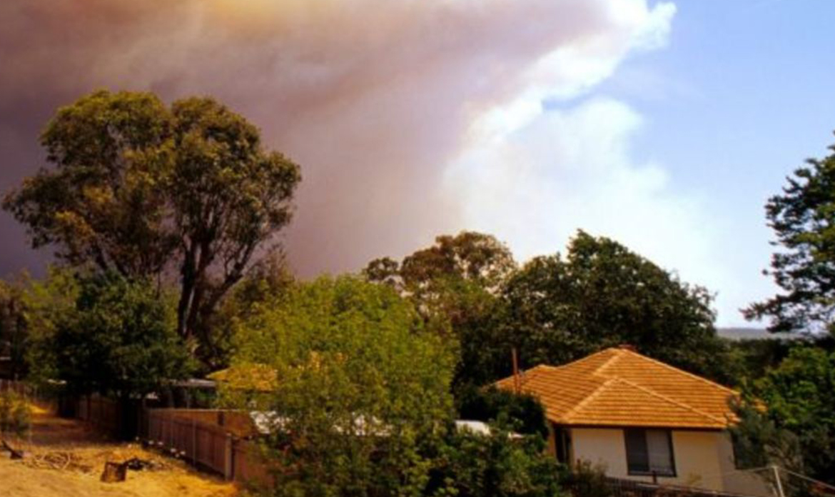 ROOF TILES IN BUSHFIRE AREAS