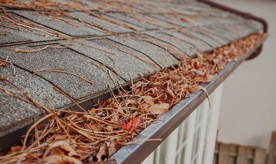 CLEANING ROOF GUTTERS