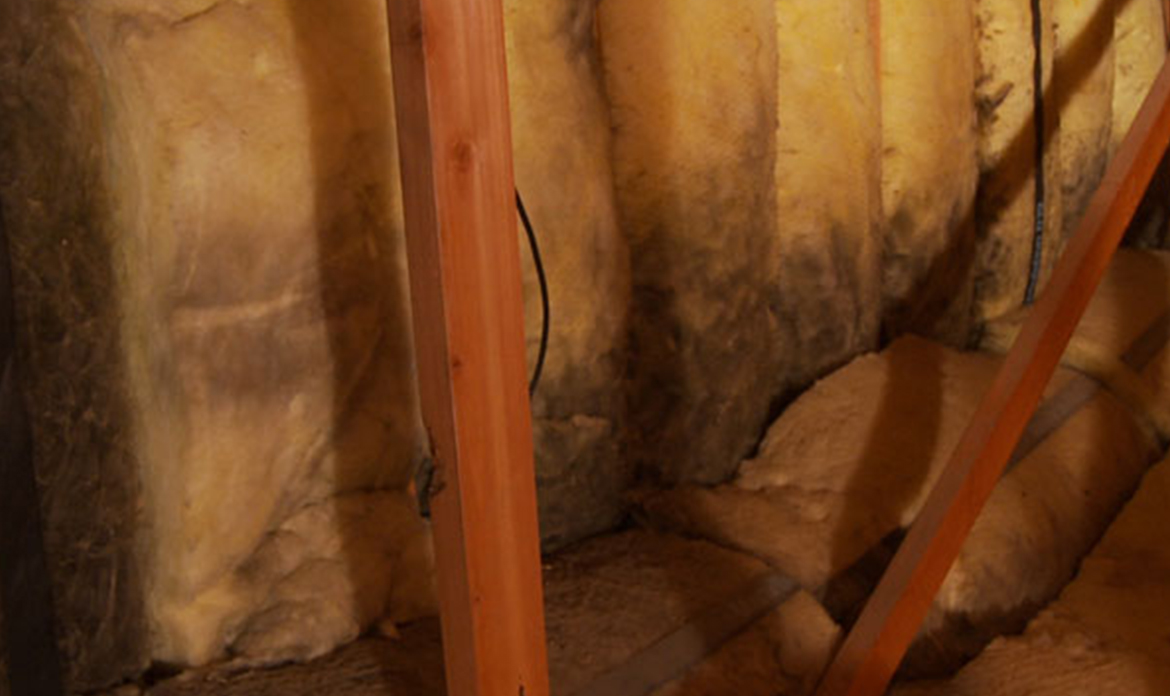 CAVITY WALL INSULATION