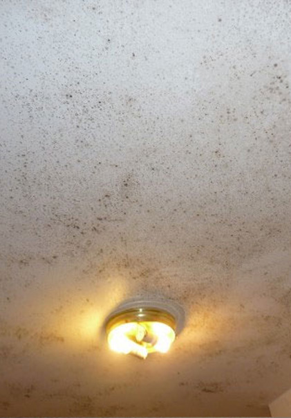 Is your house a health hazard