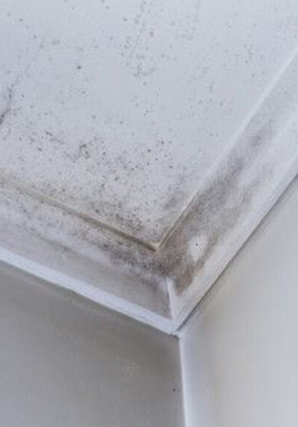 Tips For A Cooler House